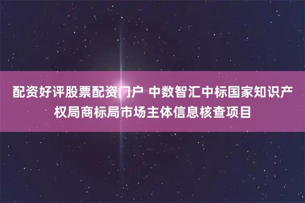 配资好评股票配资门户 中数智汇中标国家知识产权局商标局市场主体信息核查项目