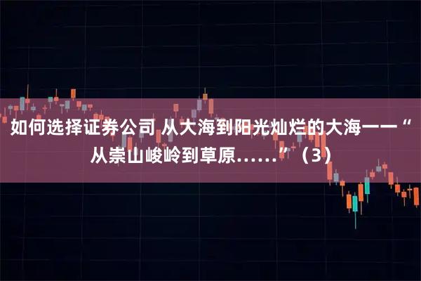 如何选择证券公司 从大海到阳光灿烂的大海一一“从崇山峻岭到草原……”（3）
