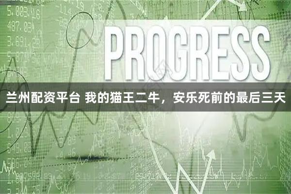 兰州配资平台 我的猫王二牛，安乐死前的最后三天